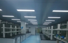 进出乐动（中国）的管理